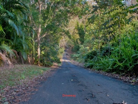 360 Diddillibah Road, Diddillibah QLD 4559