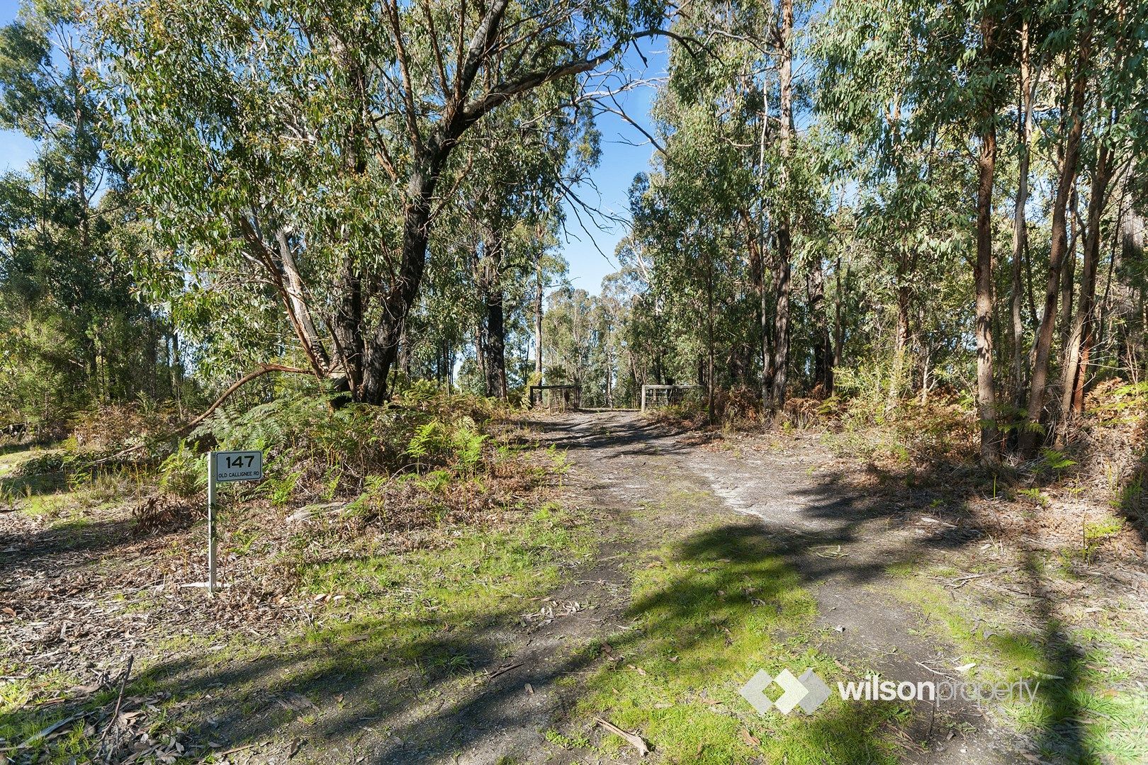 147 Old Callignee Road, Callignee VIC 3844, Image 0