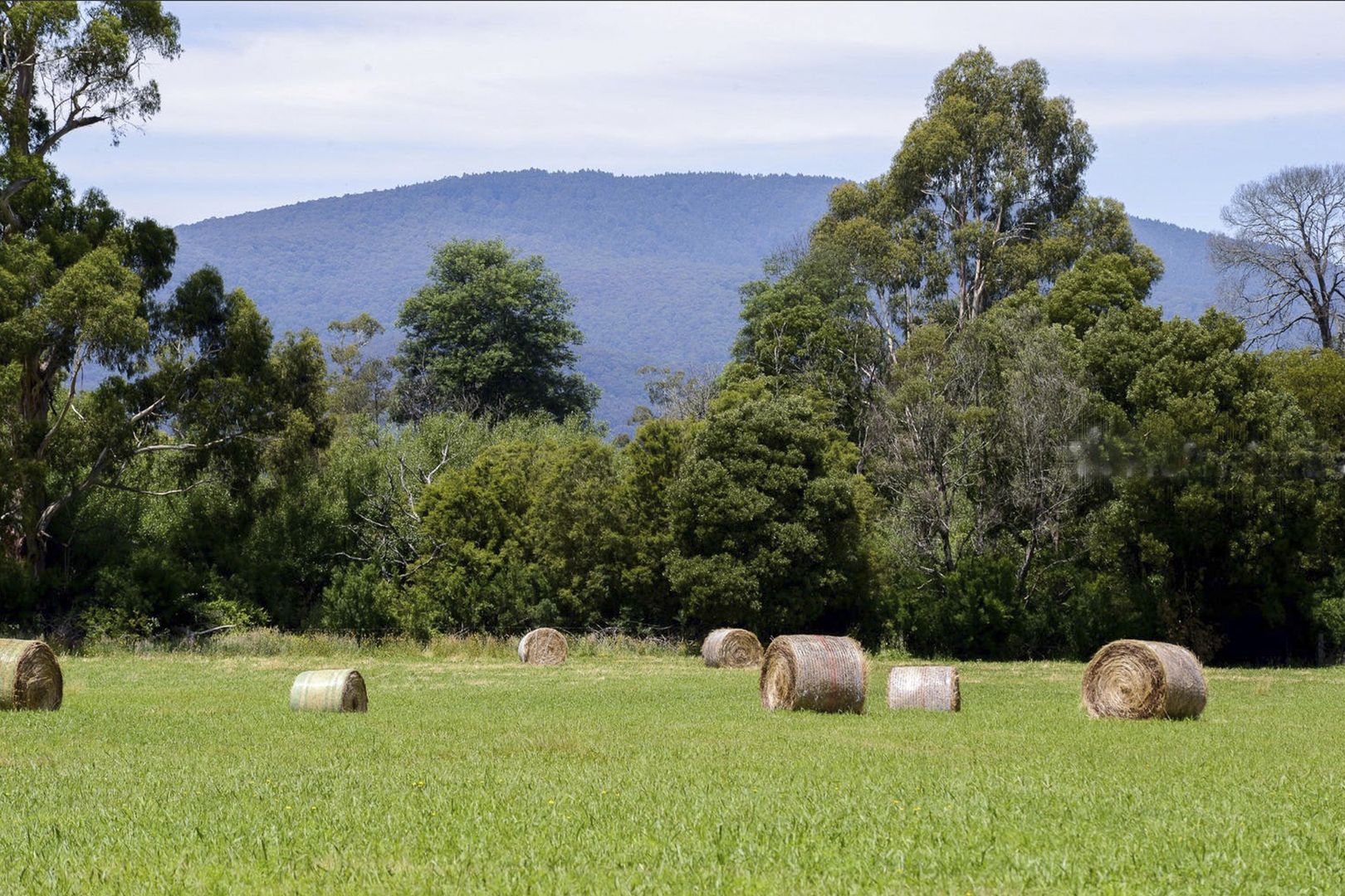 2095 Don Road, Launching Place VIC 3139, Image 1