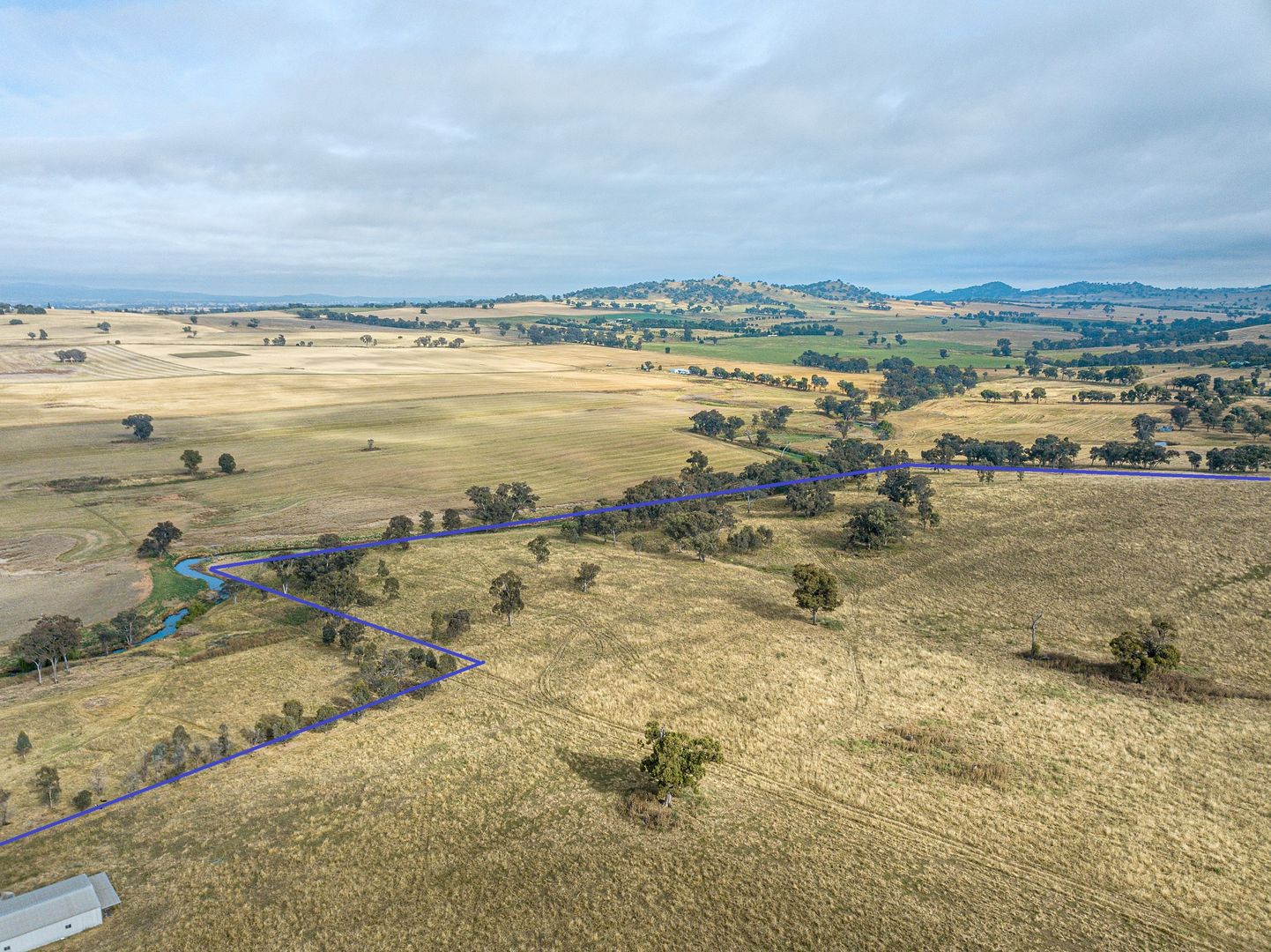 Lots 114 Willow Acres Estate, Cowra NSW 2794 Domain