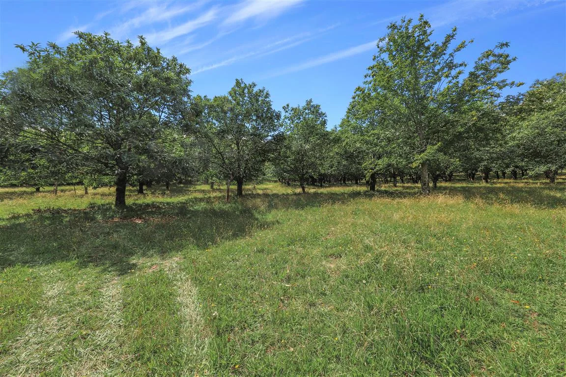 Additional image 11 of 3356 Batlow Road, Batlow NSW 2730