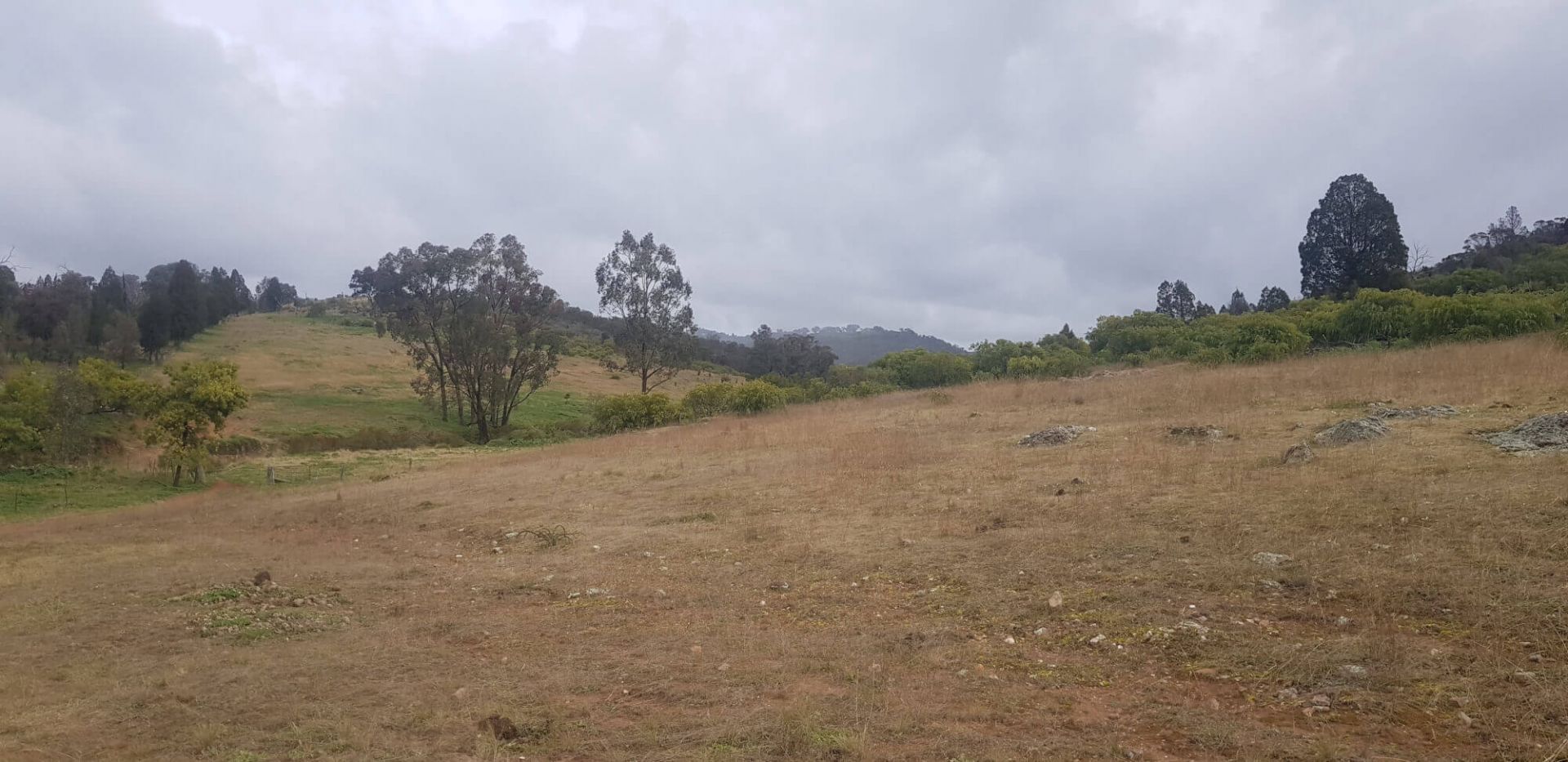 655 Monaghans Rd, Manildra NSW 2865 House for Sale Domain