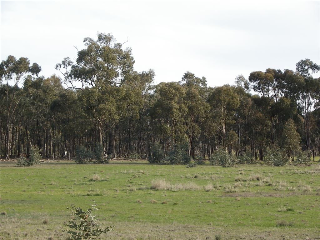 CRN Northern Highway & Toolleen Axedale Road, Toolleen VIC 3551, Image 2