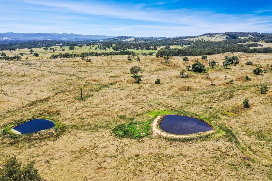 585 Sunnyside Loop Road, Tenterfield NSW 2372, Image 2