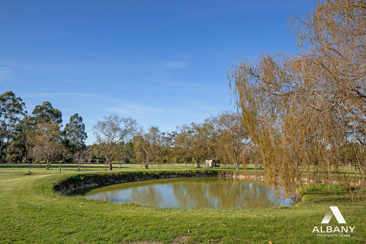 Image 30