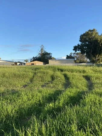 3 Craine Place, Spalding WA 6530