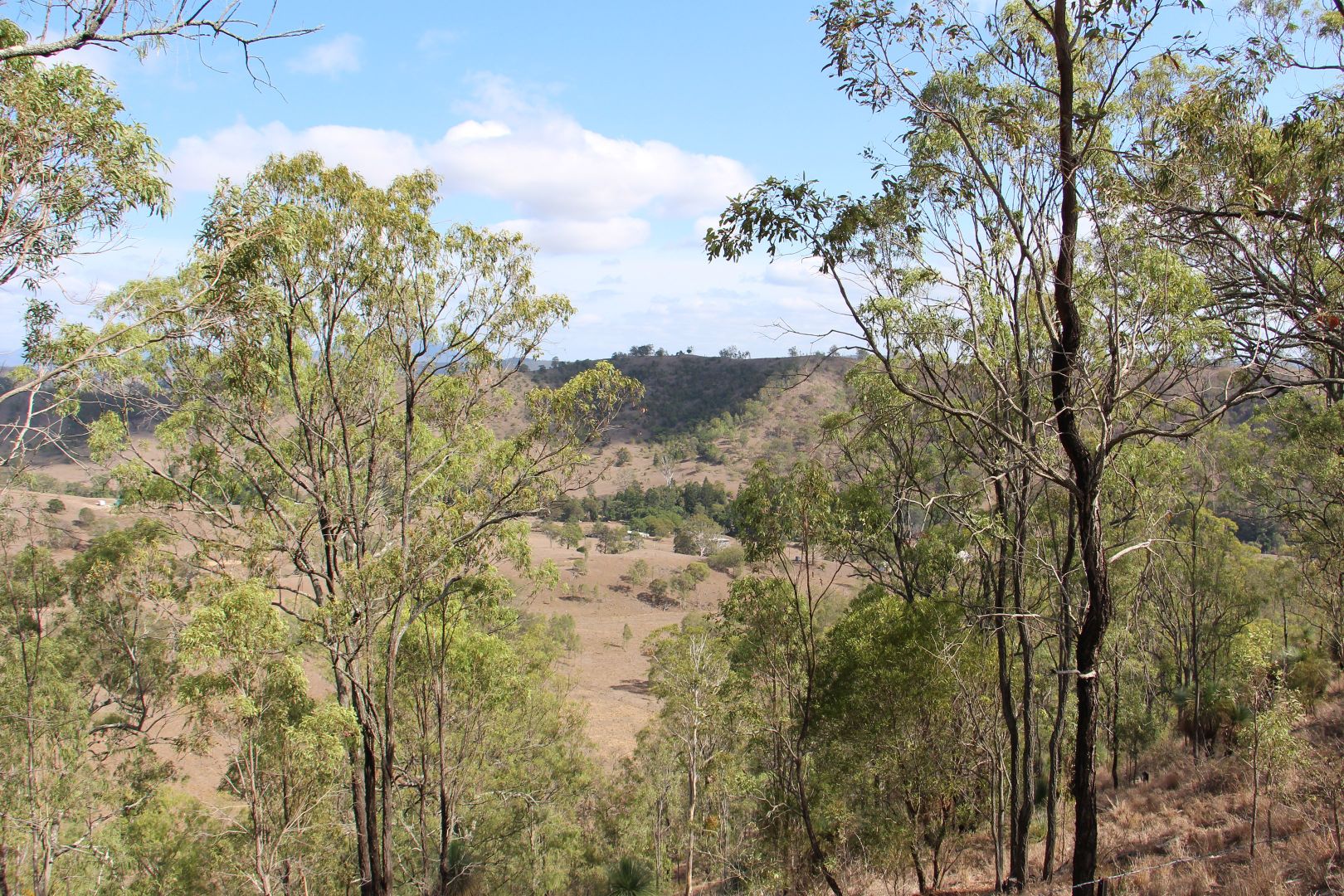 Philp Mountain Road, Running Creek QLD 4287, Image 2