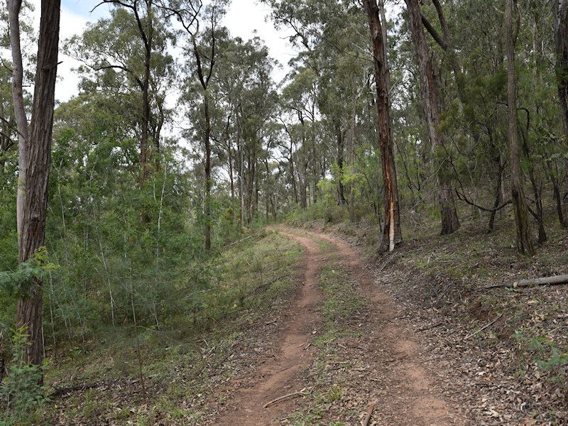 Watagan Creek Road, Laguna NSW 2325, Image 1