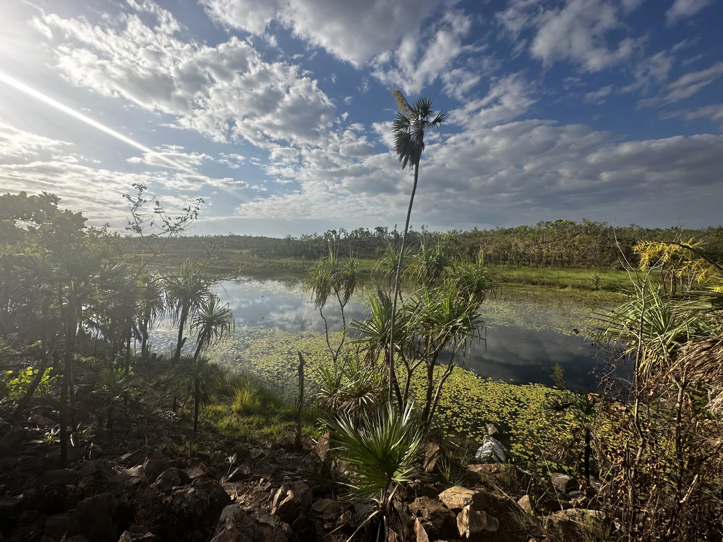 Image 10