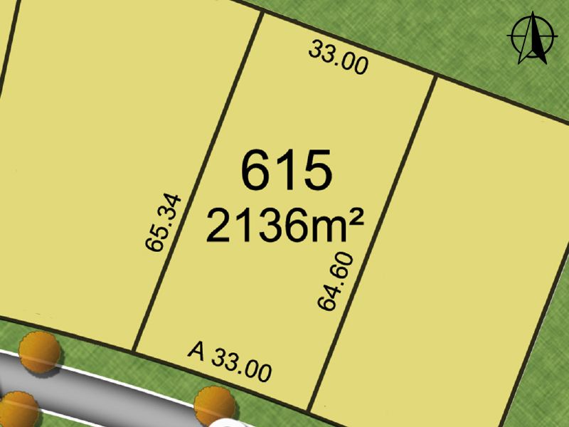 Lot 615 Pistacia Grove, Branxton NSW 2335, Image 0