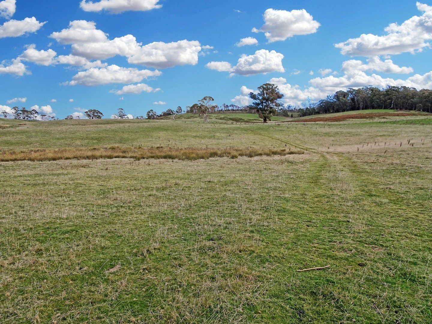 'Wattle Valley' 402 Beaconsfield Road, Black Springs NSW 2787, Image 0