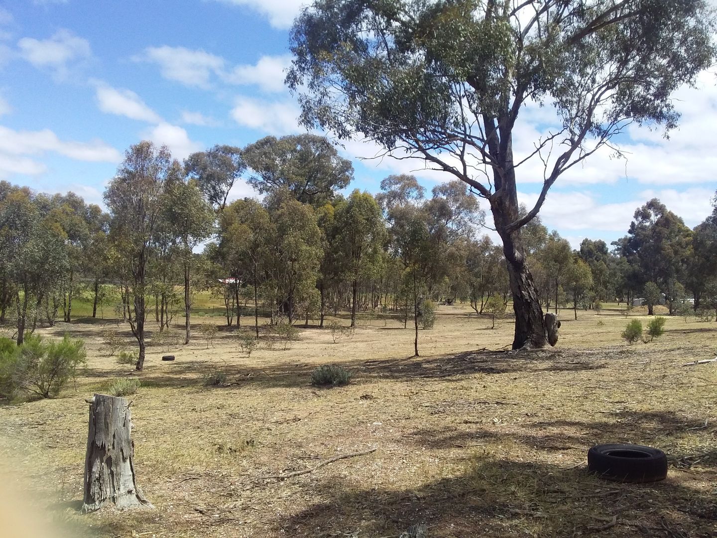 CA6 Sec11 Sporting Flat Road, Dunolly VIC 3472, Image 2