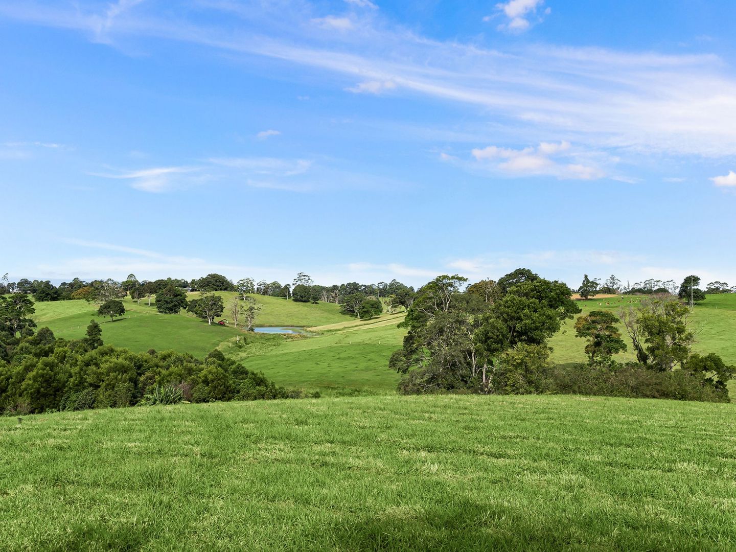 Lot 74 Tallowwood Street 'Tallowwood Estate', Maleny QLD 4552 Domain