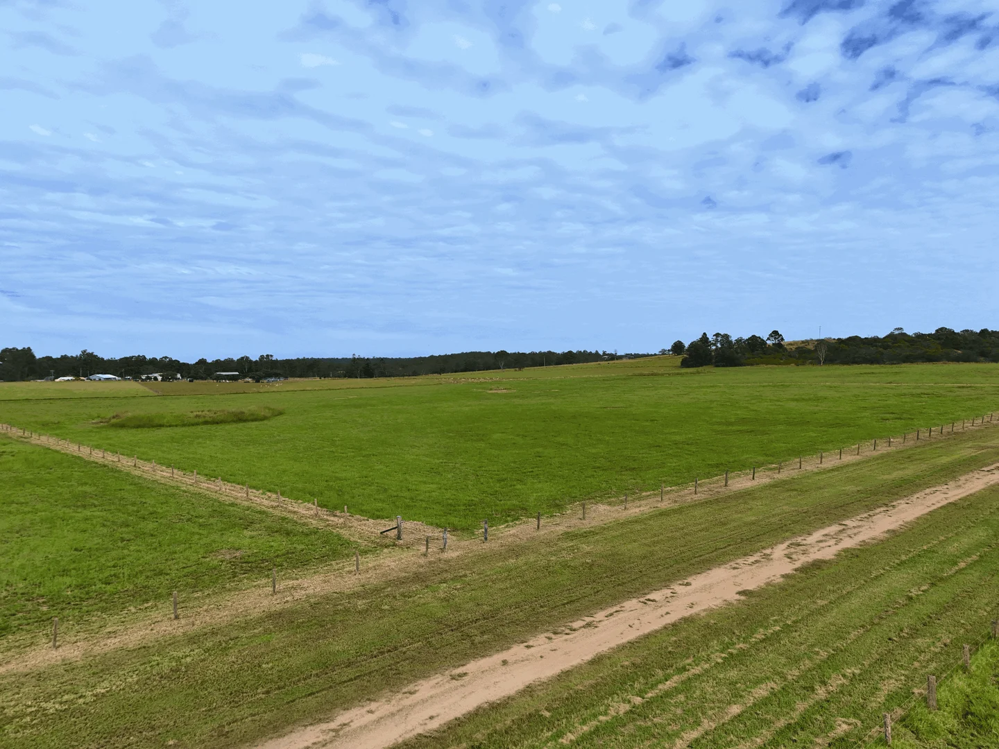 Image 31