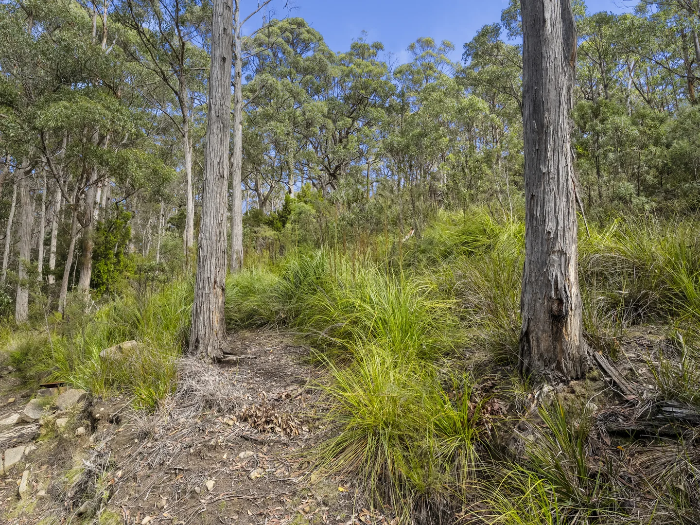 Additional image 14 of 1018-1020 Adventure Bay Road, Adventure Bay TAS 7150