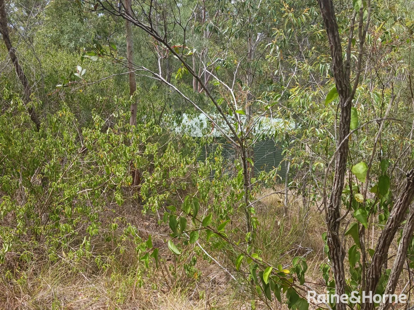 Additional image 12 of Lot 2 Barrs Road, Bucca QLD 4670
