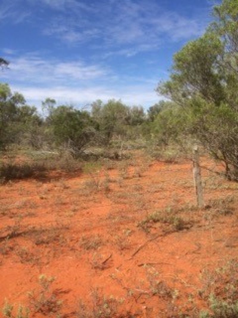 Lot 4 Dowling Track, Fords Bridge NSW 2840, Image 2