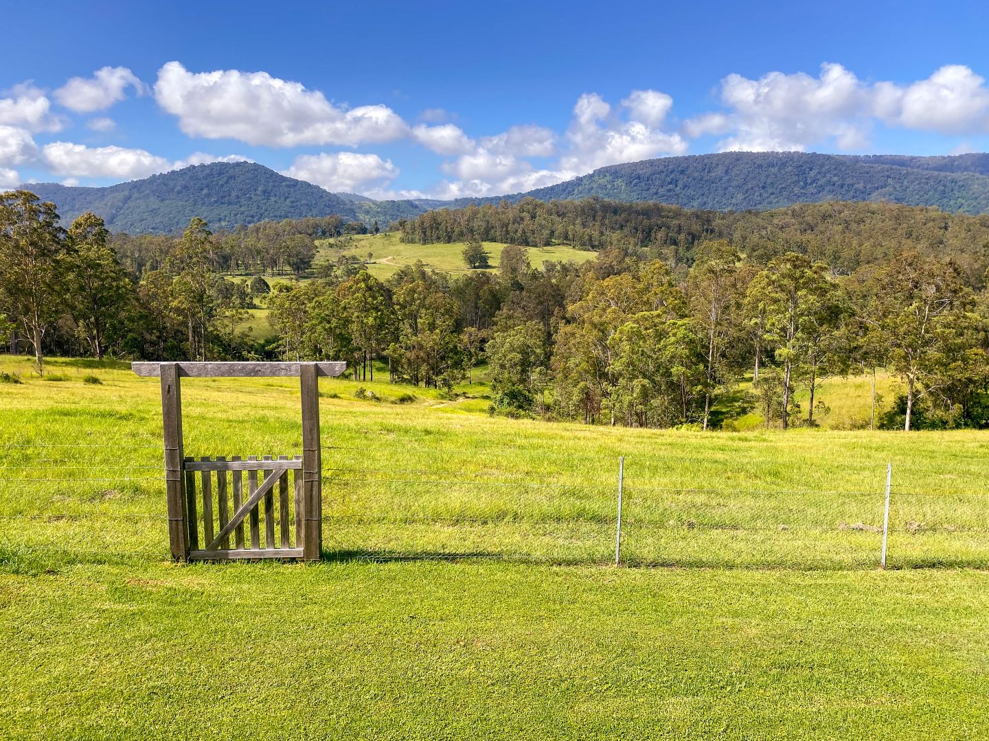 1000 Nowendoc Road, Mount NSW 2424 House for Sale Domain