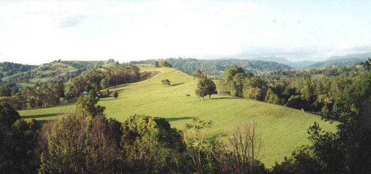 Lot 10 Tuntable Creek Road, The Channon NSW 2480, Image 0