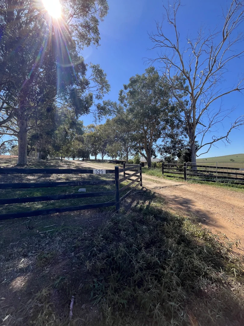Additional image 3 of 525 Elouera Road, Cowra NSW 2794
