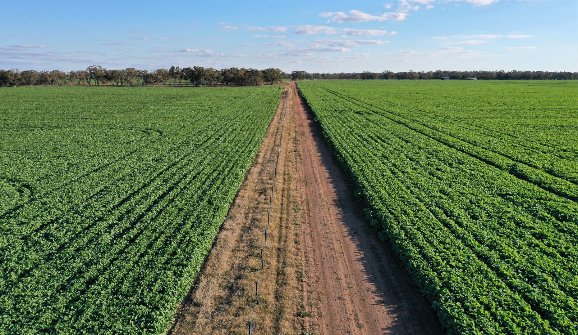 Jamea, Trangie NSW 2823 - Mixed Farming Property for Sale ...