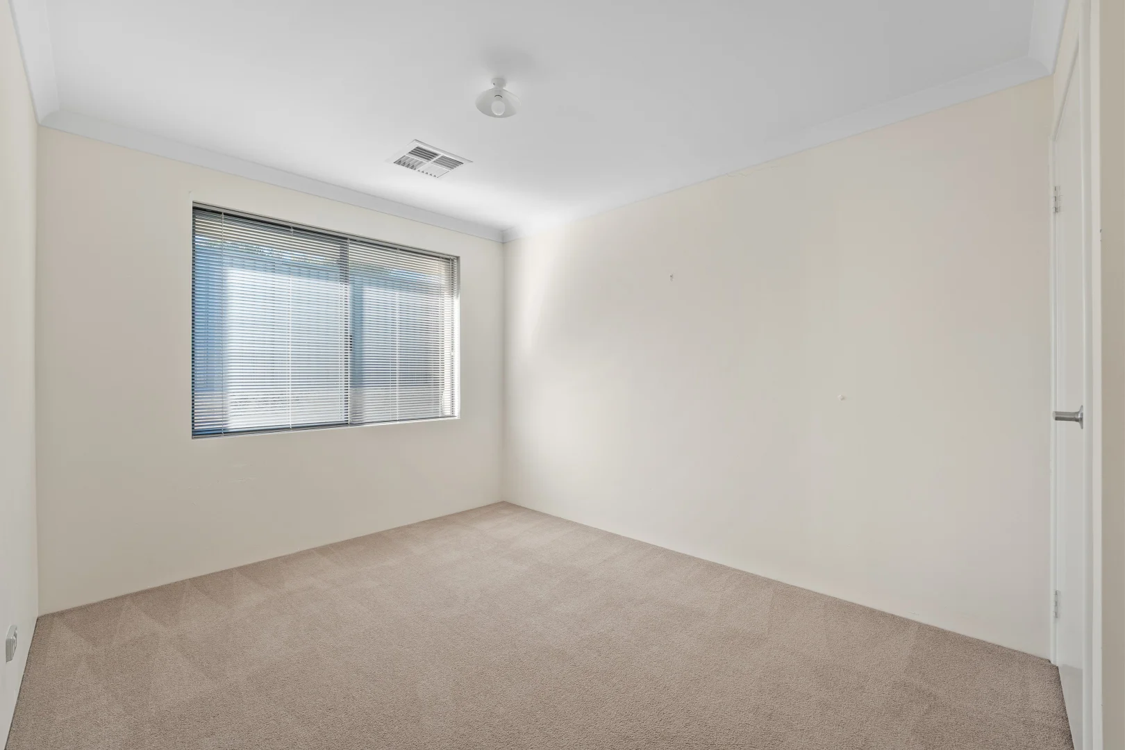 Image 23