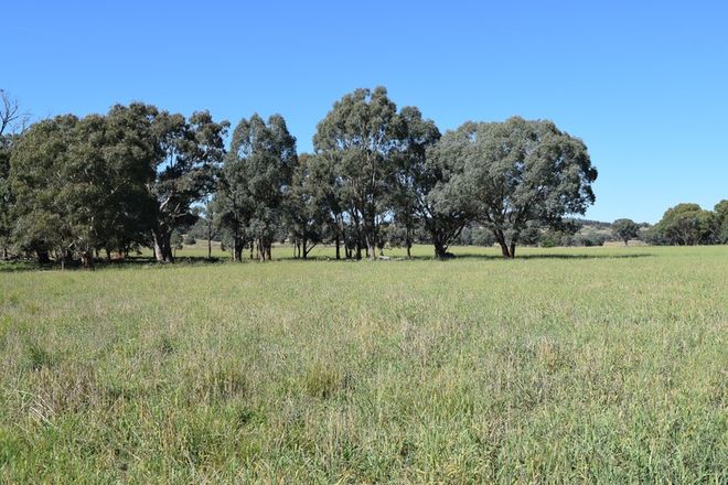 Picture of Little Plains Road, BLAKNEY CREEK NSW 2581