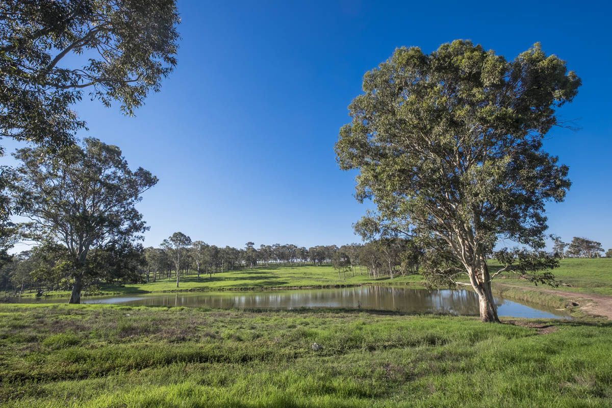 Lot 1142 Wicklow Road, Chisholm NSW 2322, Image 0