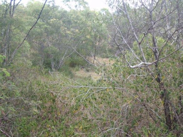 lot 2 Kleins Rd, Mount Binga QLD 4314, Image 2