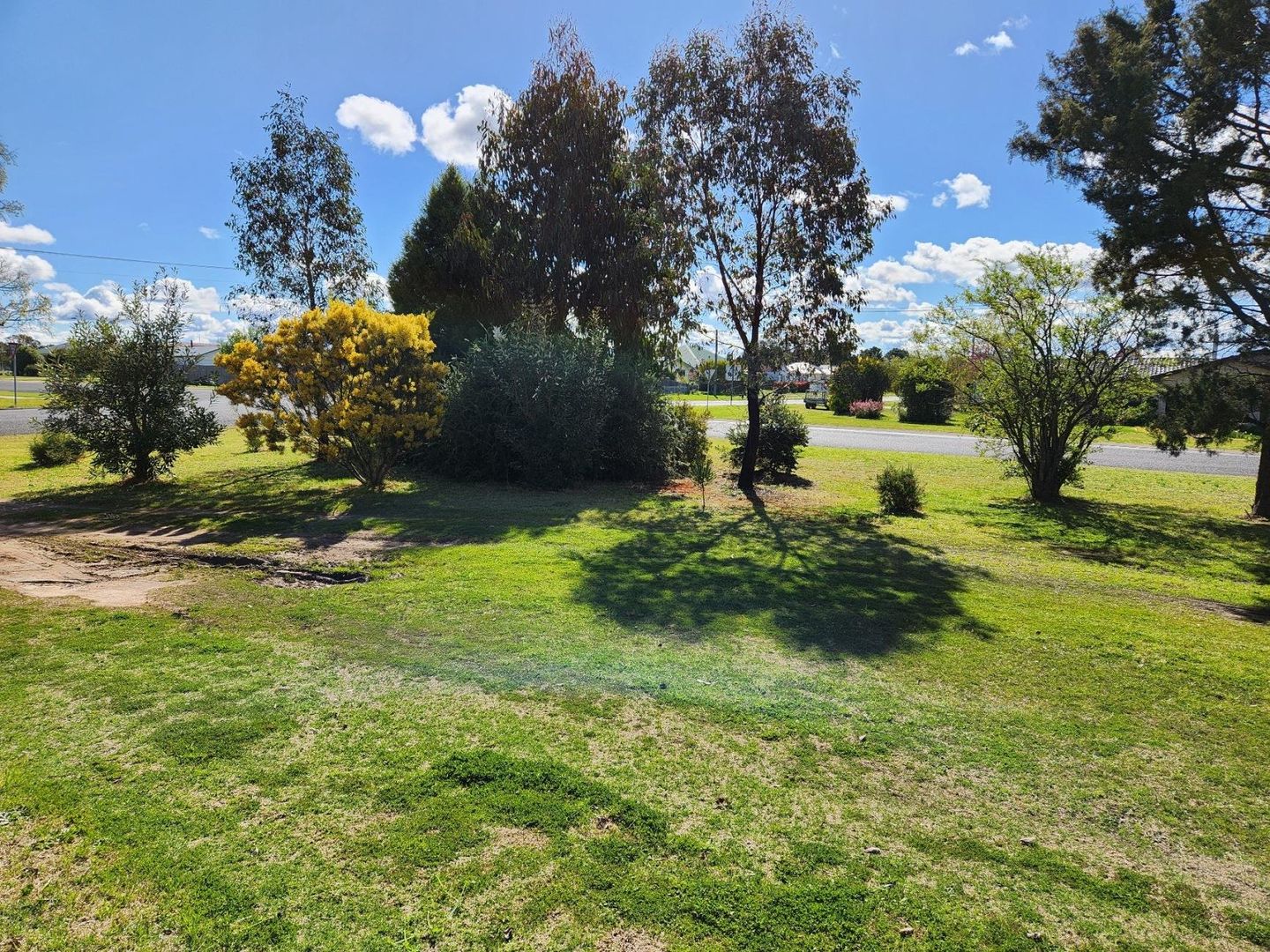 4/37 Park Street, Uralla NSW 2358 Apartment For Rent Domain