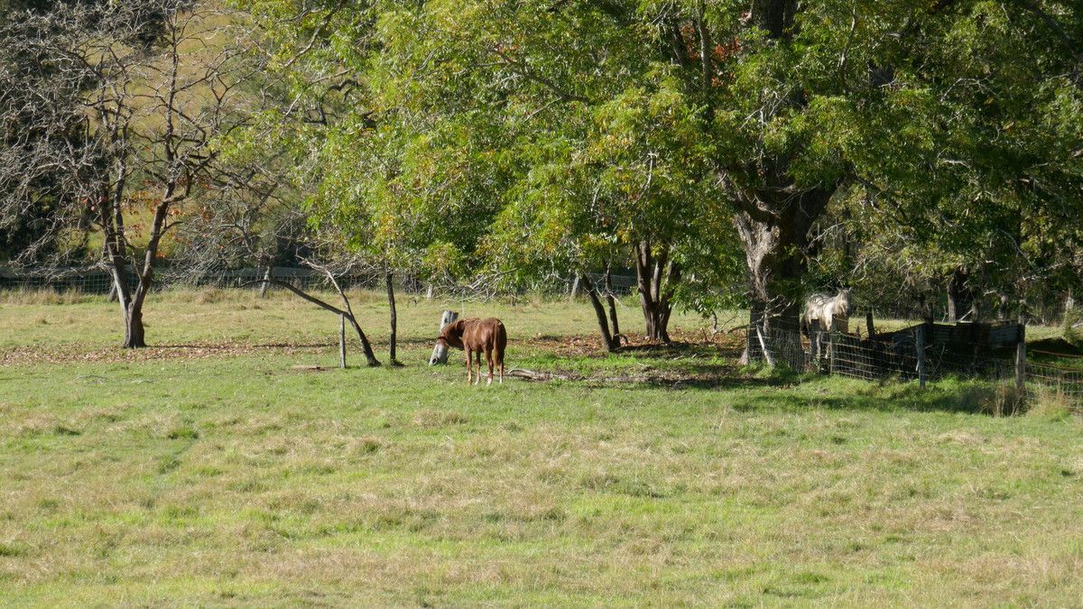 474 Duck Creek Road, Duck Creek NSW 2469, Image 1