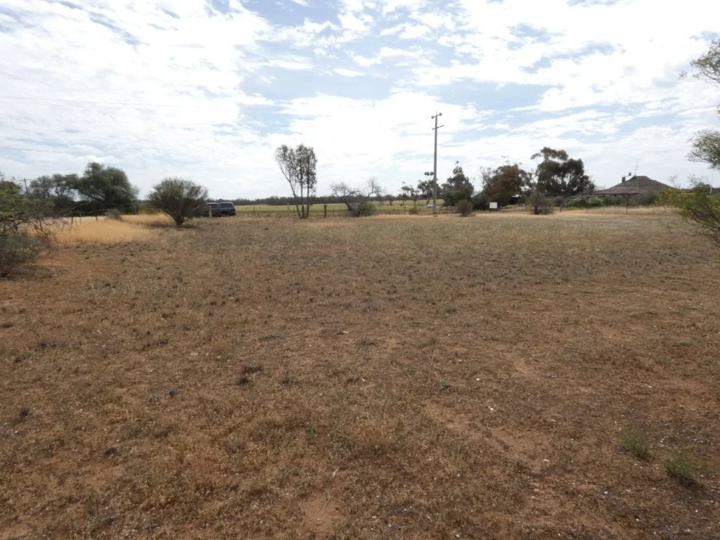 Image 6