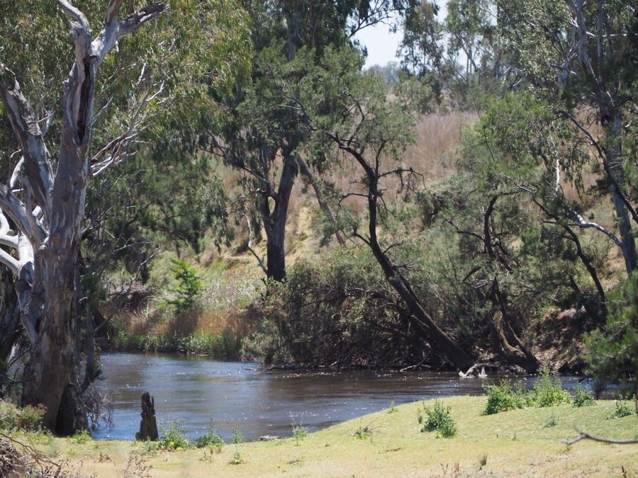 4151 Road, Bingara NSW 2404 Vacant Land for Sale Domain