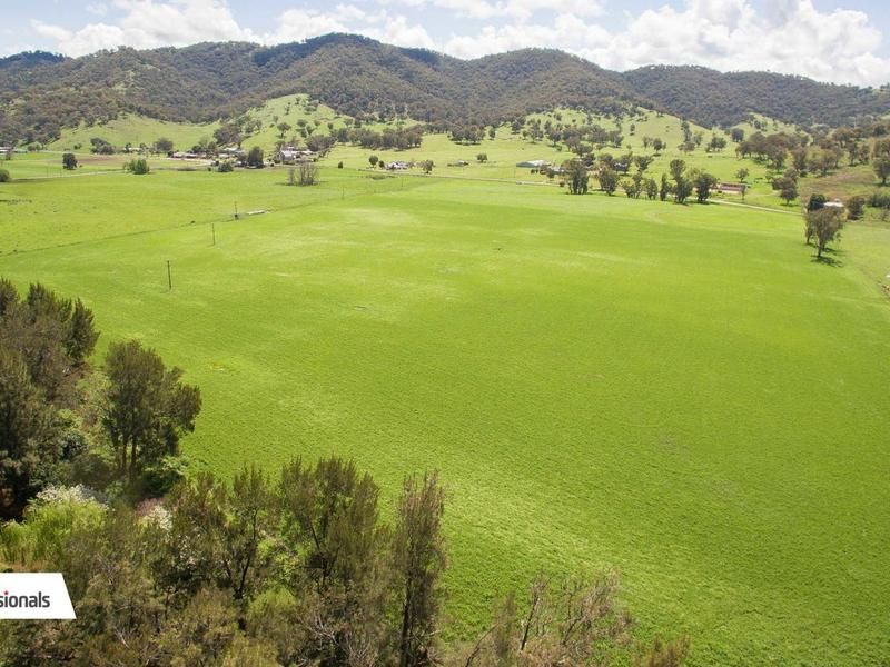 39 Ogunbil Road, Dungowan NSW 2340, Image 2