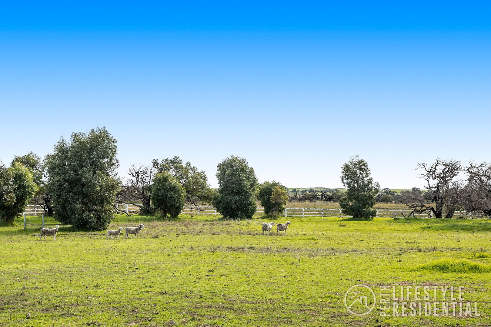 38 Sandalwood Road, Gabbadah WA 6041, Image 2