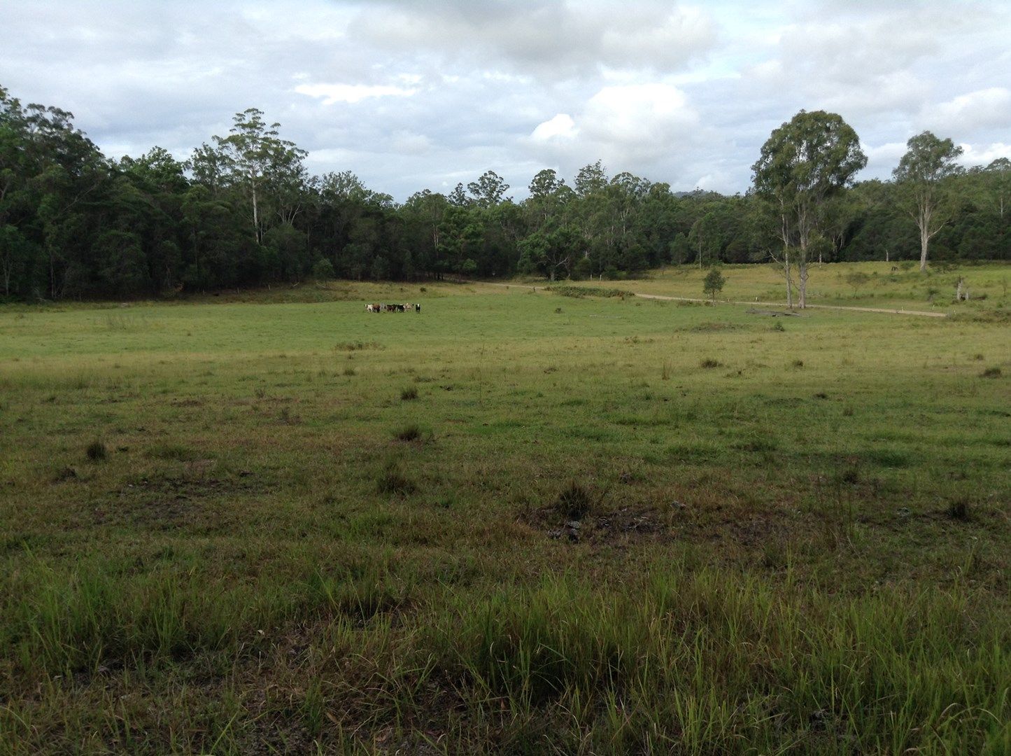 Lot 53 Upper Fine Flower Rd, Upper Fine Flower NSW 2460, Image 0