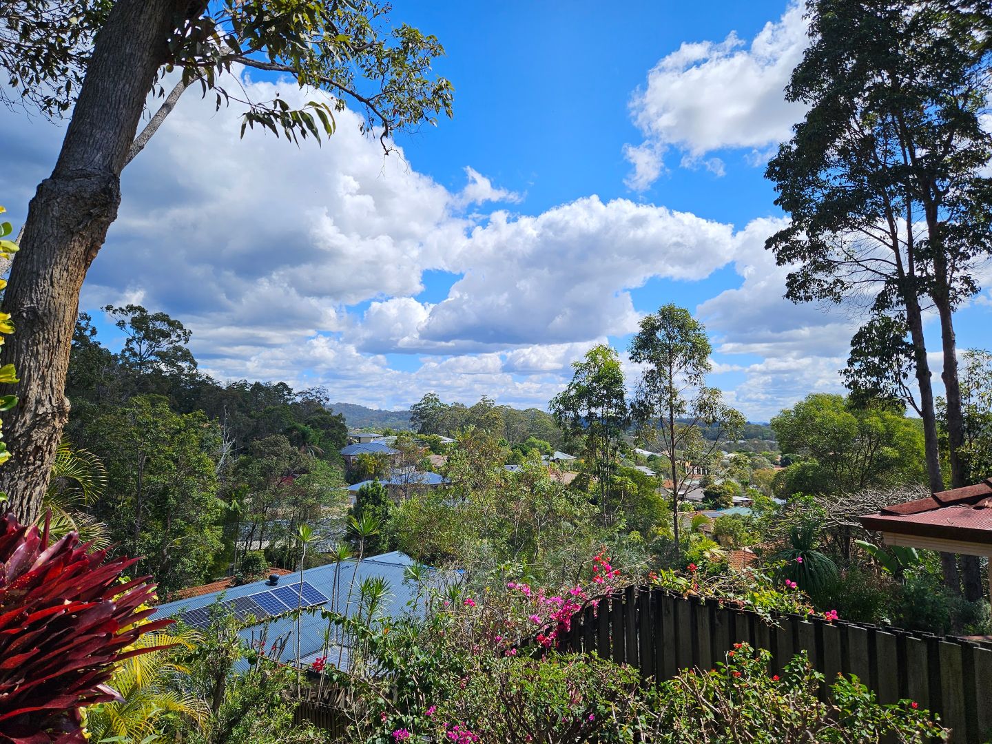 27 Leopard Avenue, Elanora QLD 4221, Image 1