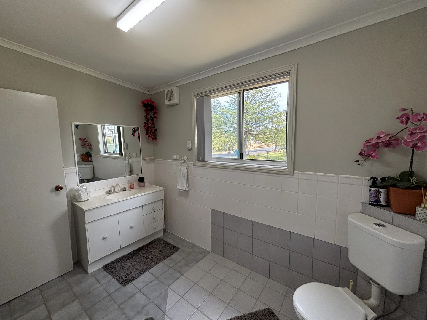Additional image 13 of 13 Campbell Street, Coolah NSW 2843