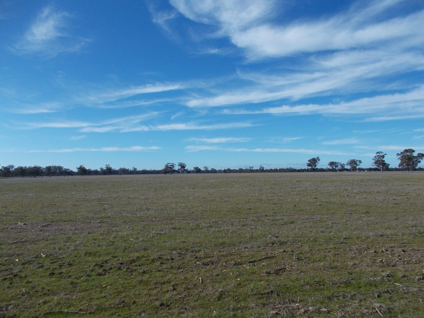 . Phillips Road, Glenorchy VIC 3385, Image 0