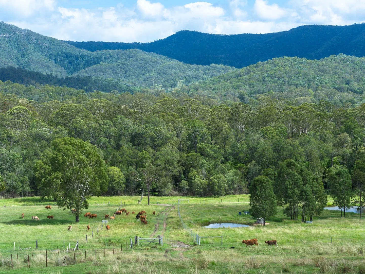 Additional image 12 of Widgee QLD 4570
