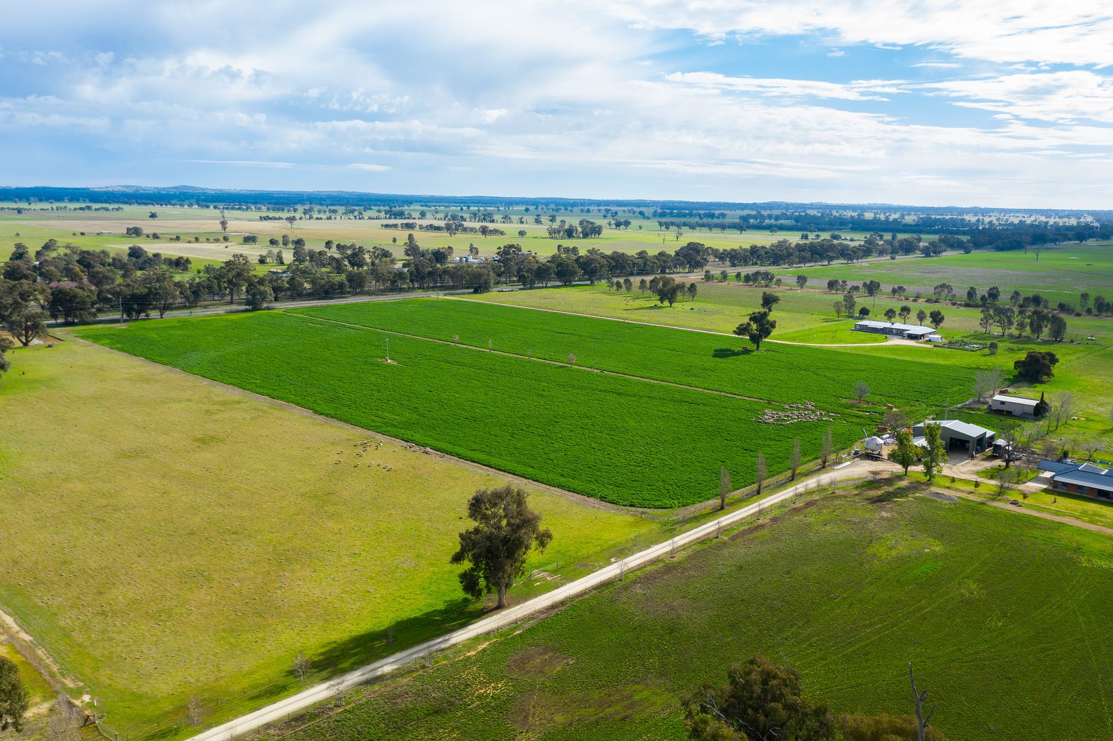 3148 Lot 6 - Olympic Highway, Culcairn NSW 2660, Image 1