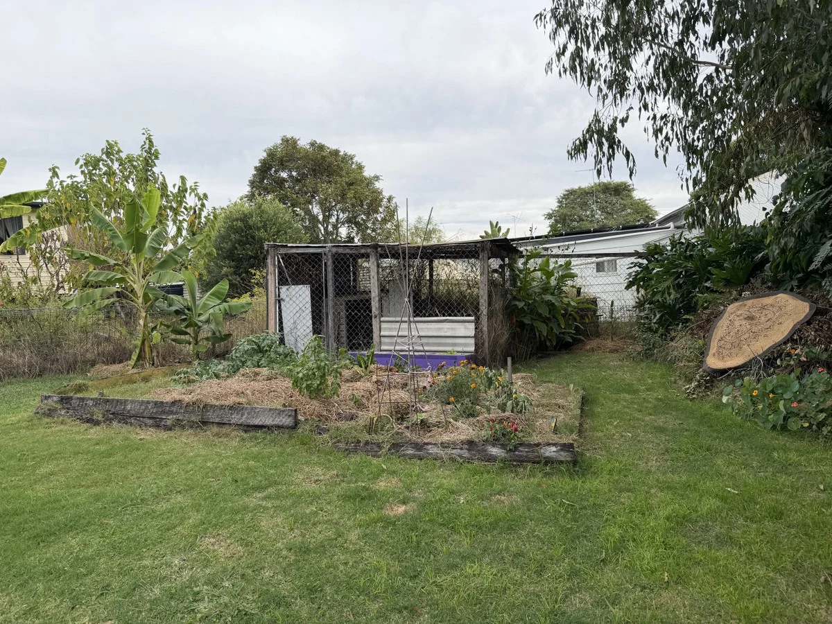 Image 15