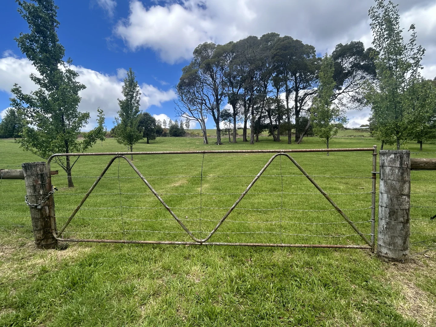 Image 13