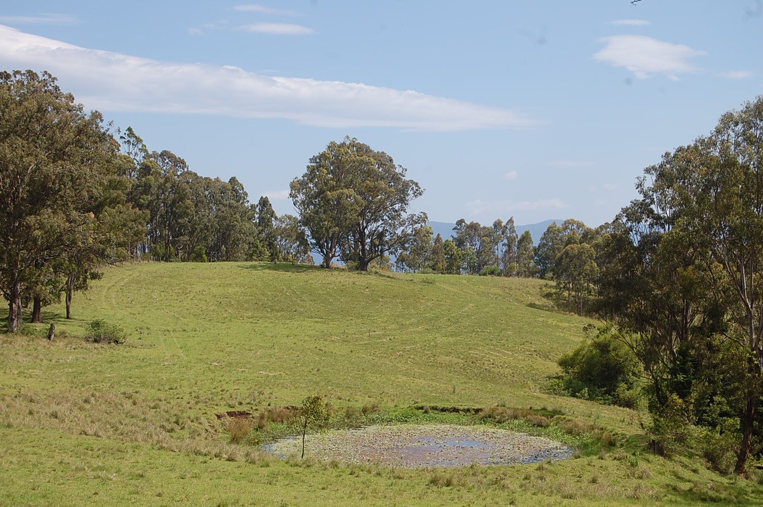 Lot 80 Duck Creek Road, Old Bonalbo NSW 2469, Image 0