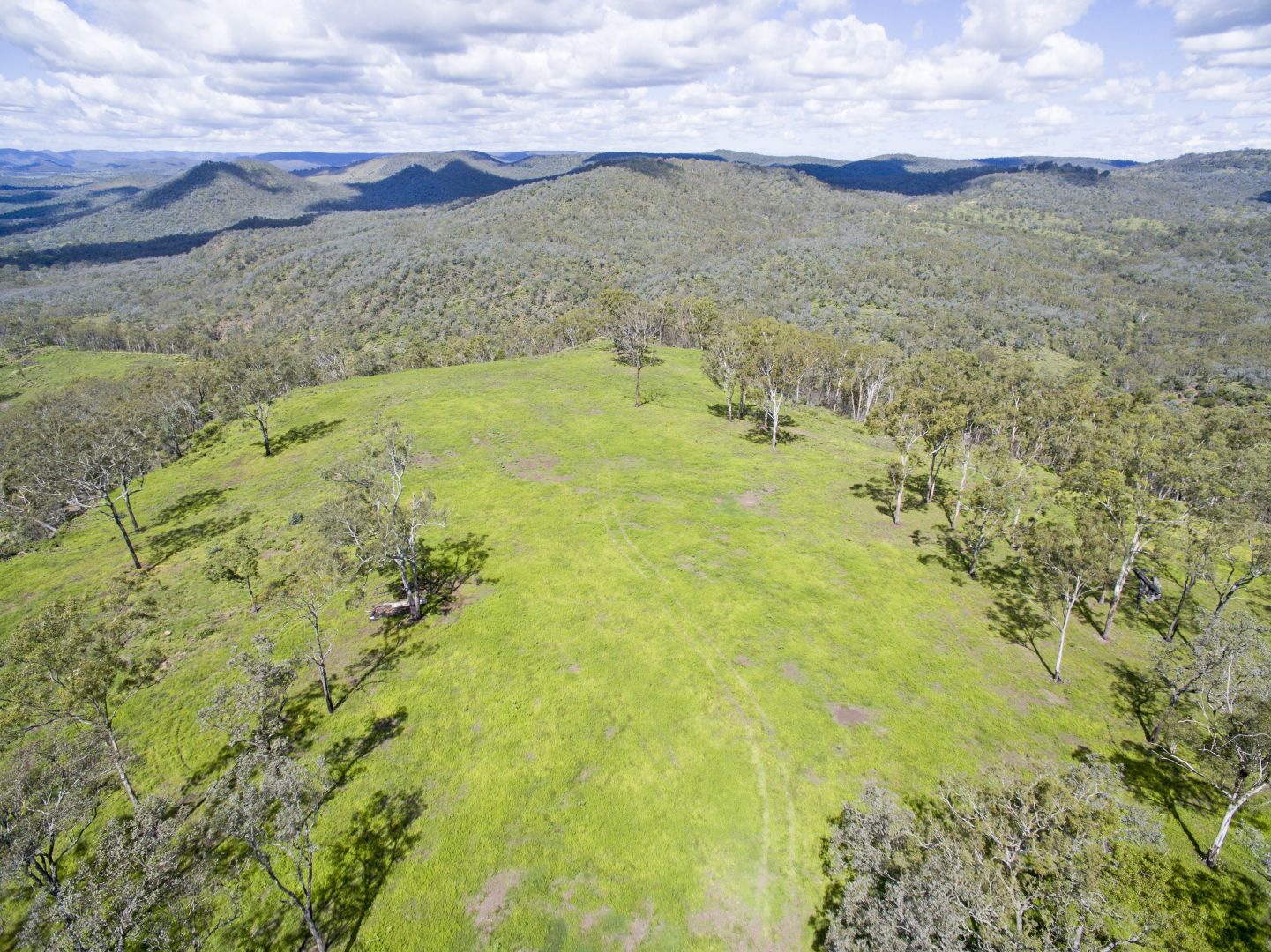 'Native Dog' Mount Neale Road, Ramsay QLD 4358, Image 1