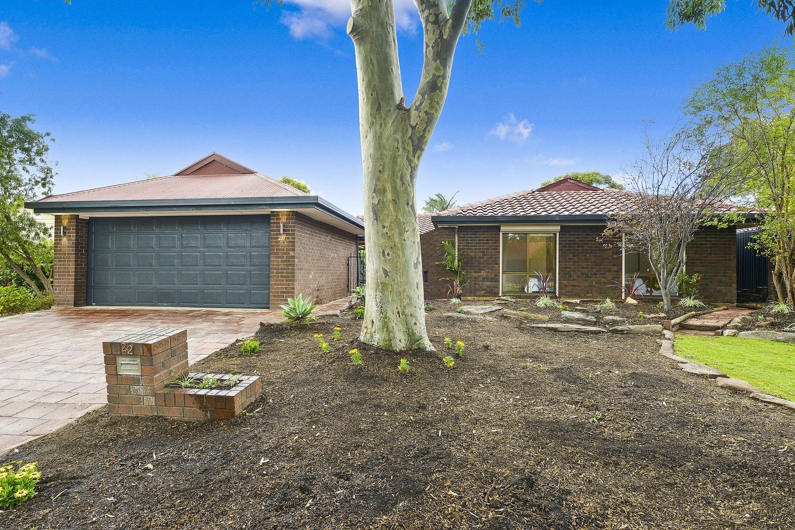 22 Merlot Street, Reynella East SA 5161, Image 0