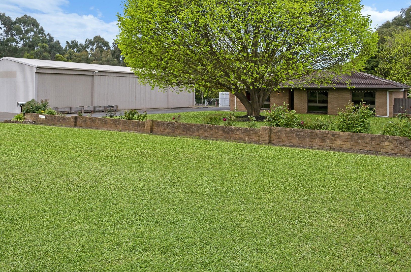 88 Dwarroon Road, Cudgee VIC 3265, Image 1