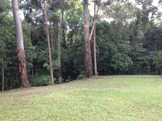 Image 18