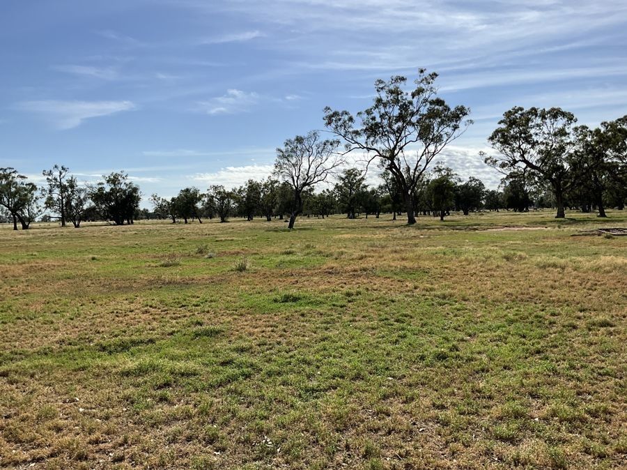 50 Warrena Road, Coonamble NSW 2829 House for Sale Domain