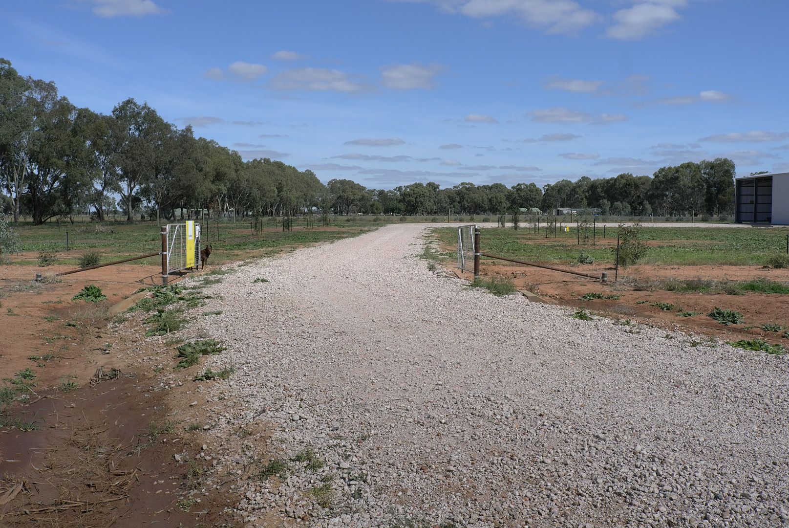 Lot 1 Short Street, Darlington Point NSW 2706, Image 1